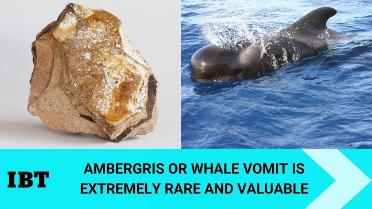 Ambergris