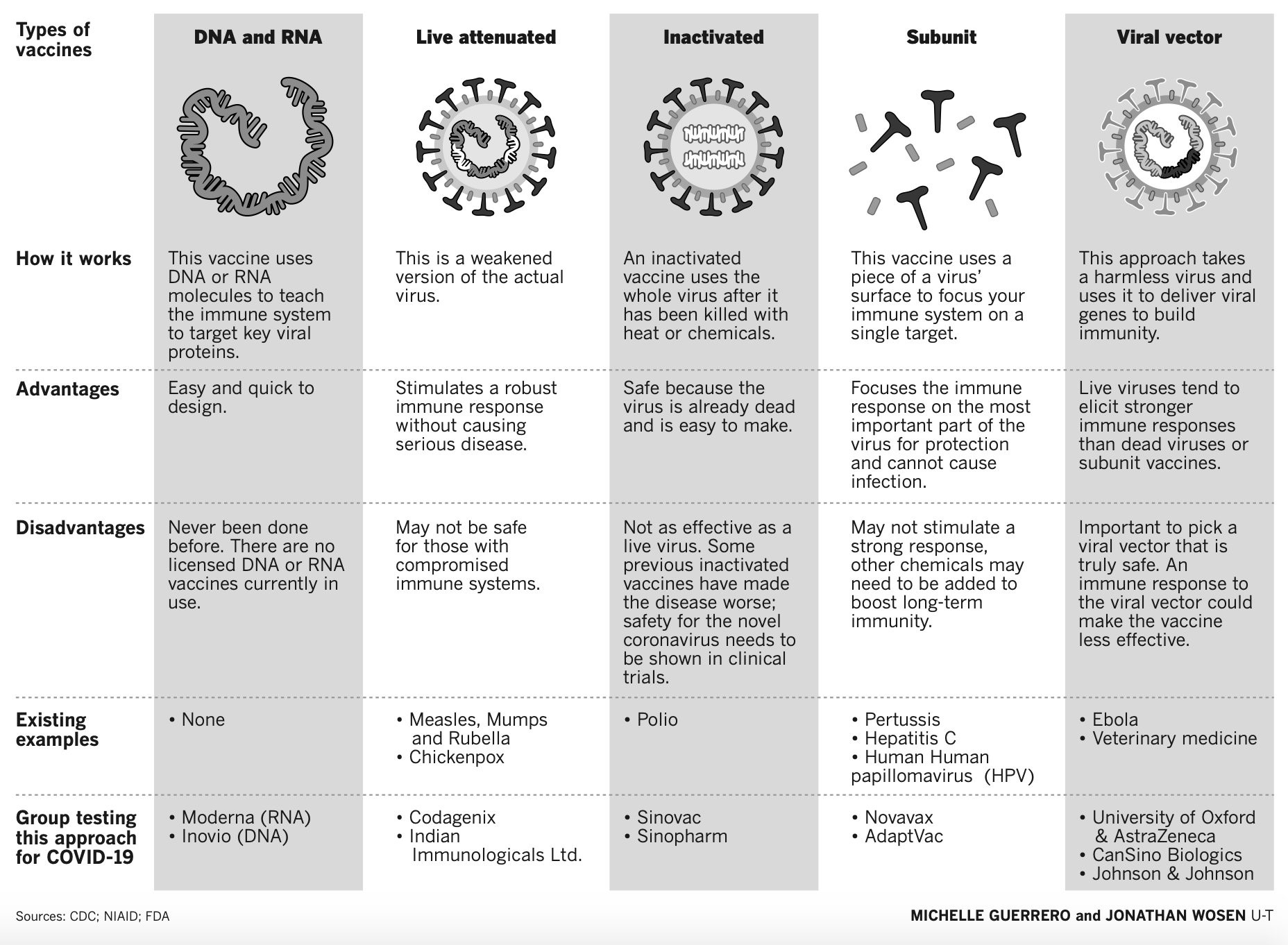 Marcus Lamb Vaccine