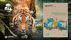 2024 World Wildlife Crime Report