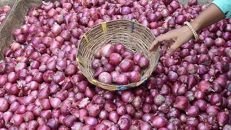 Government Lifts Onion Export Ban
