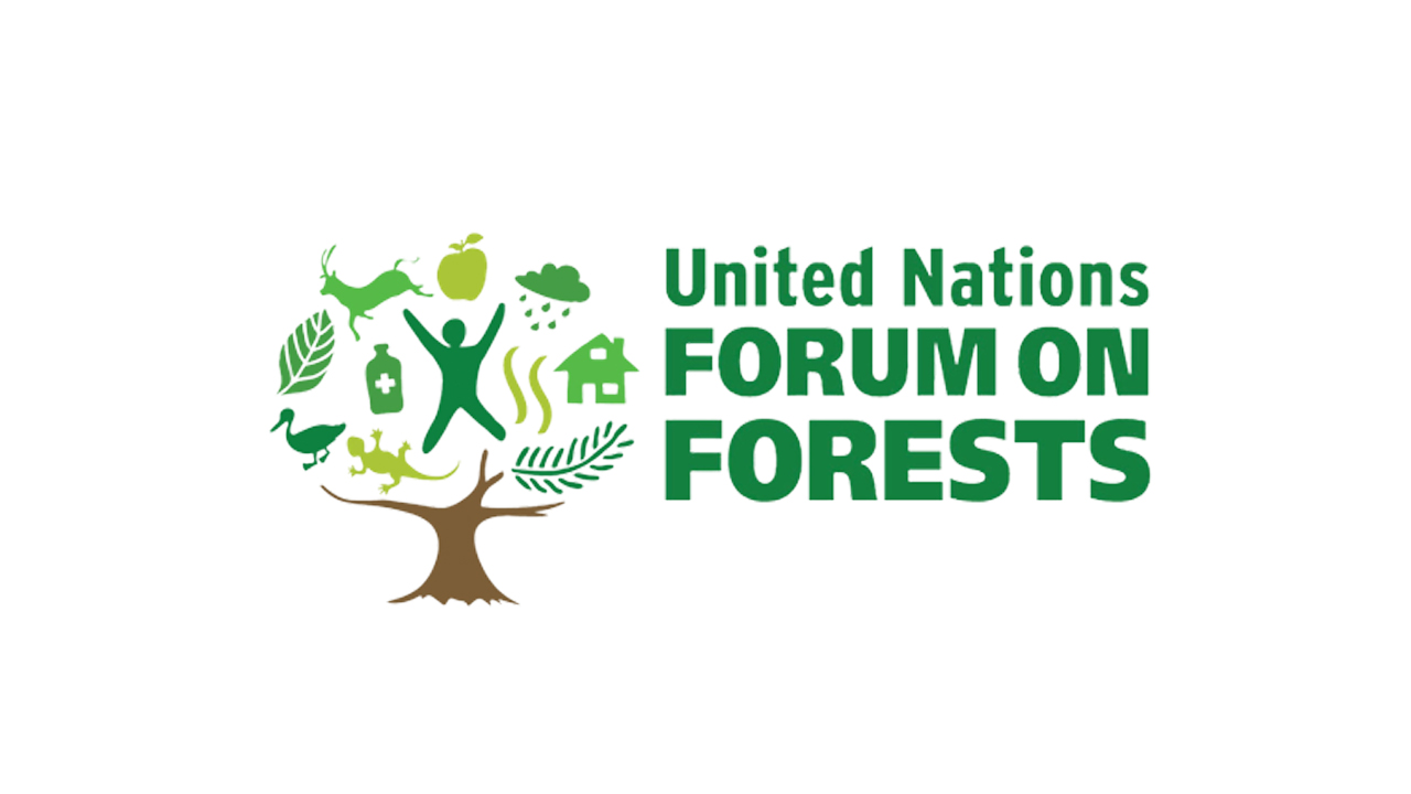 United Nations Forum on Forests