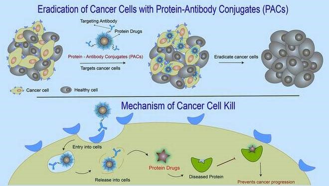 New approach to drug delivery