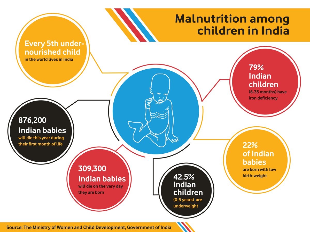 Malnutrition Infographic