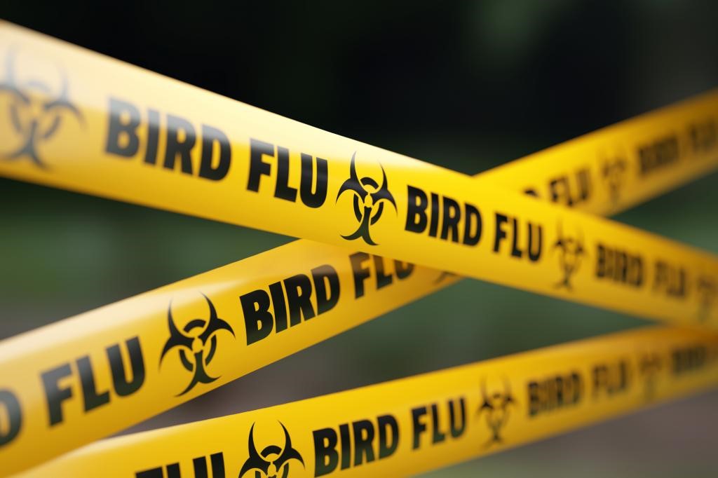 Bird Flu: A Growing Threat To Human And Animal Health UPSC