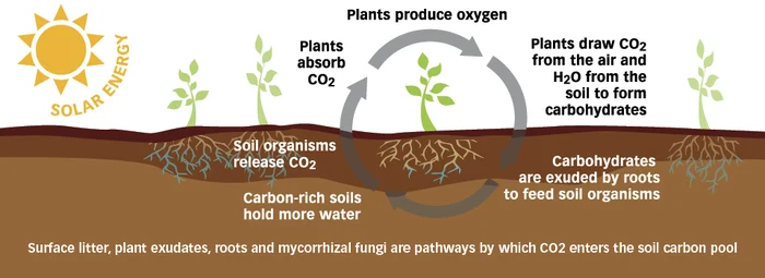 Regenerative agriculture for climate mitigation. UPSC