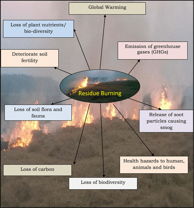 STUBBLE BURNING