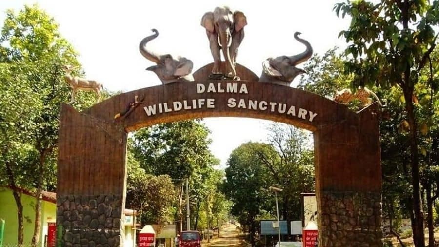 Discover Dalma Wildlife Sanctuary - UPSC Guide