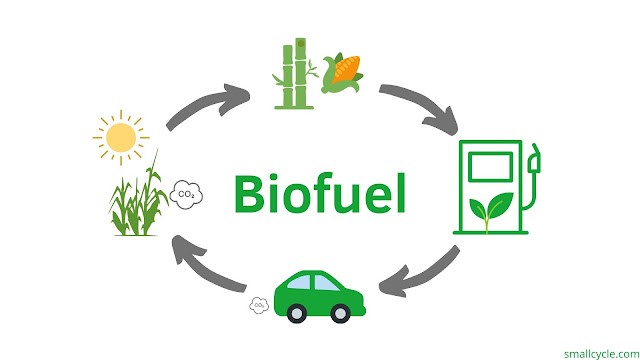 Overview of Ethanol Blending in India.