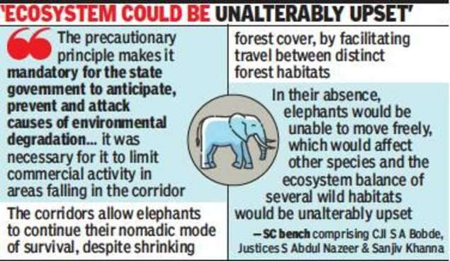 Elephant corridors | Elephant reserves in India | UPSC