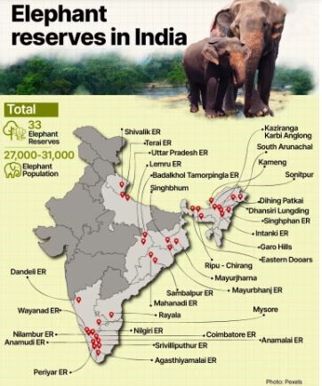 Elephant corridors | Elephant reserves in India | UPSC