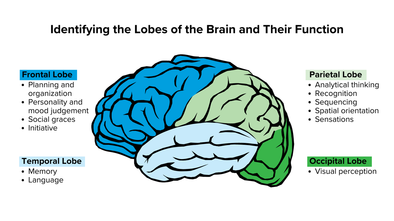 Researchers find brain protein in frontotemporal dementia UPSC