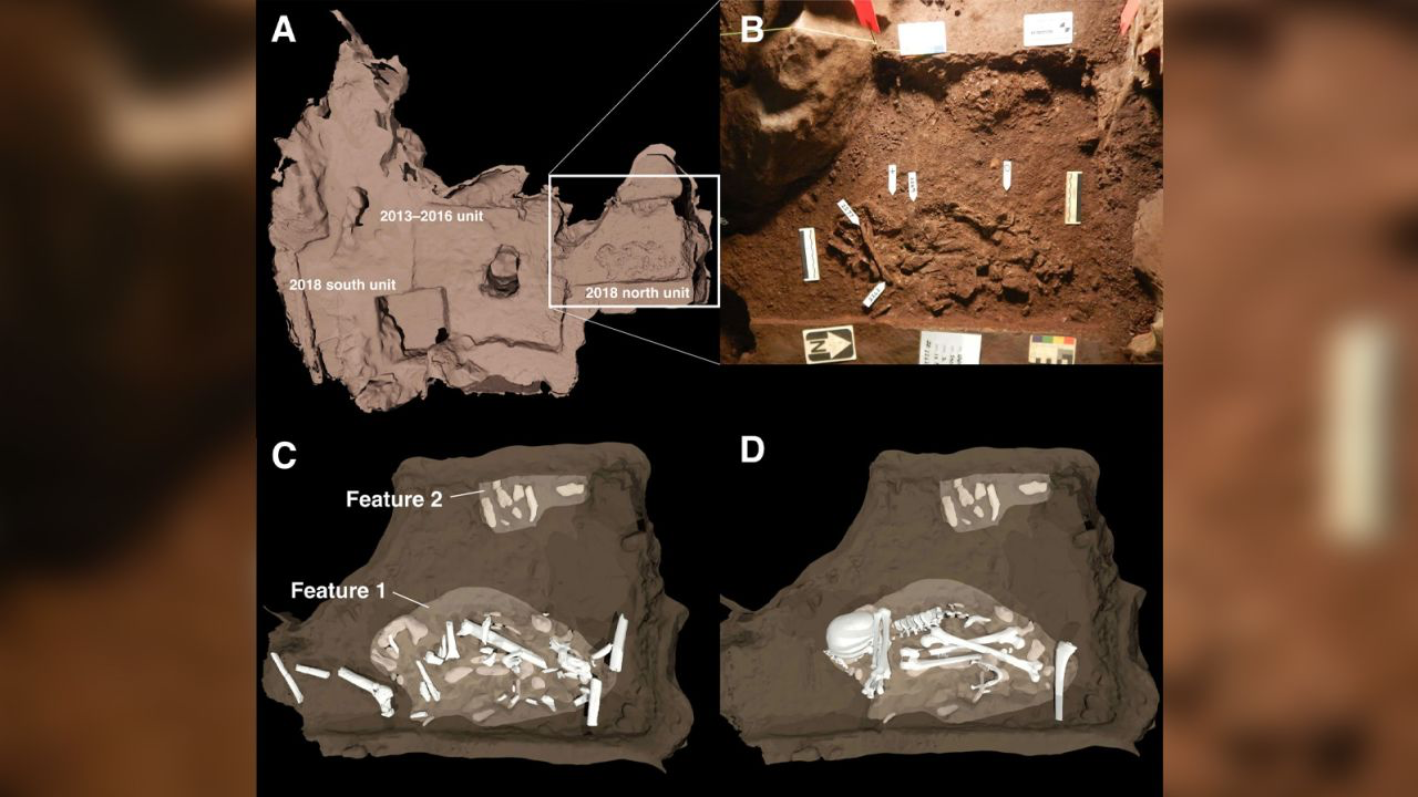 Homo Naledi Upsc Current Affairs Ias Gyan 5252