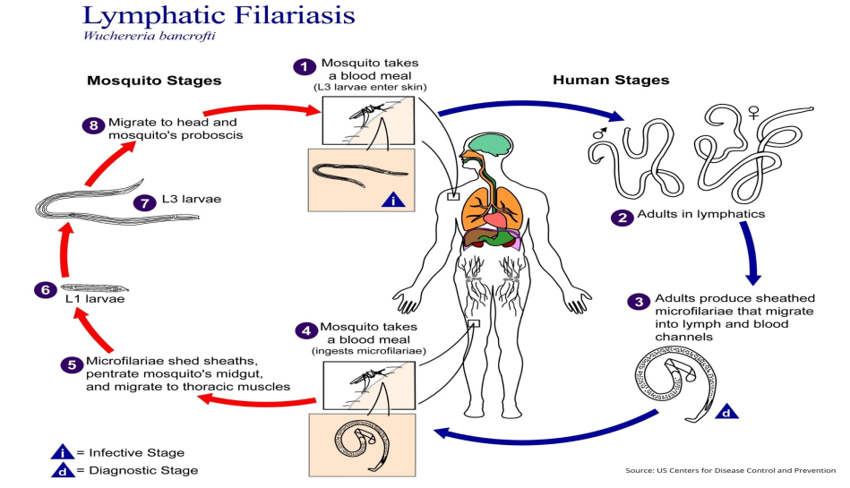 Lao PDR eliminated lymphatic filariasis UPSC