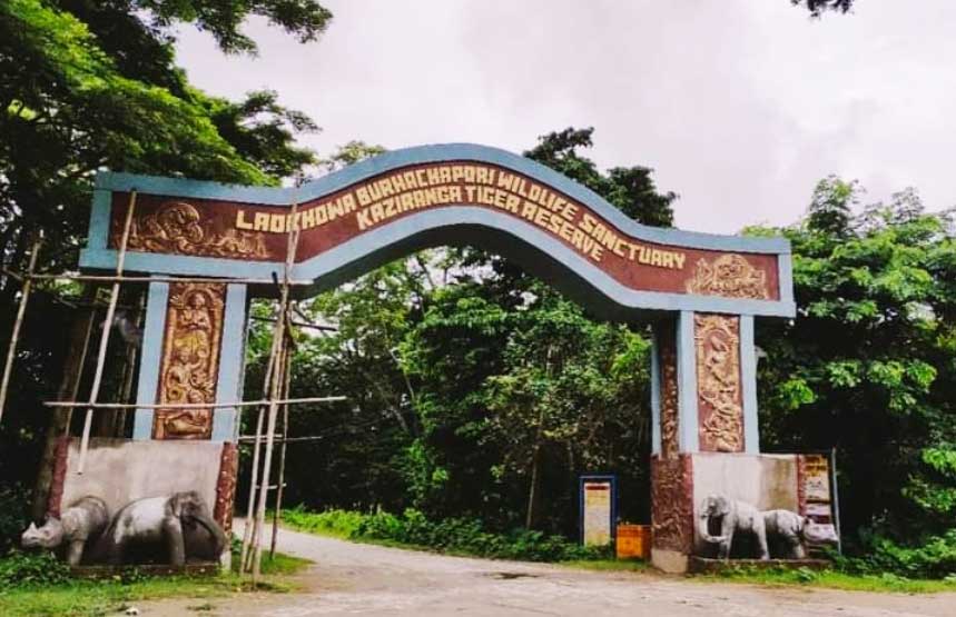 Laokhowa and Burhachapori Wildlife Sanctuaries: Biodiversity Gems