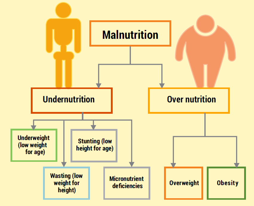 Double Burden of Obesity and Undernutrition in India UPSC