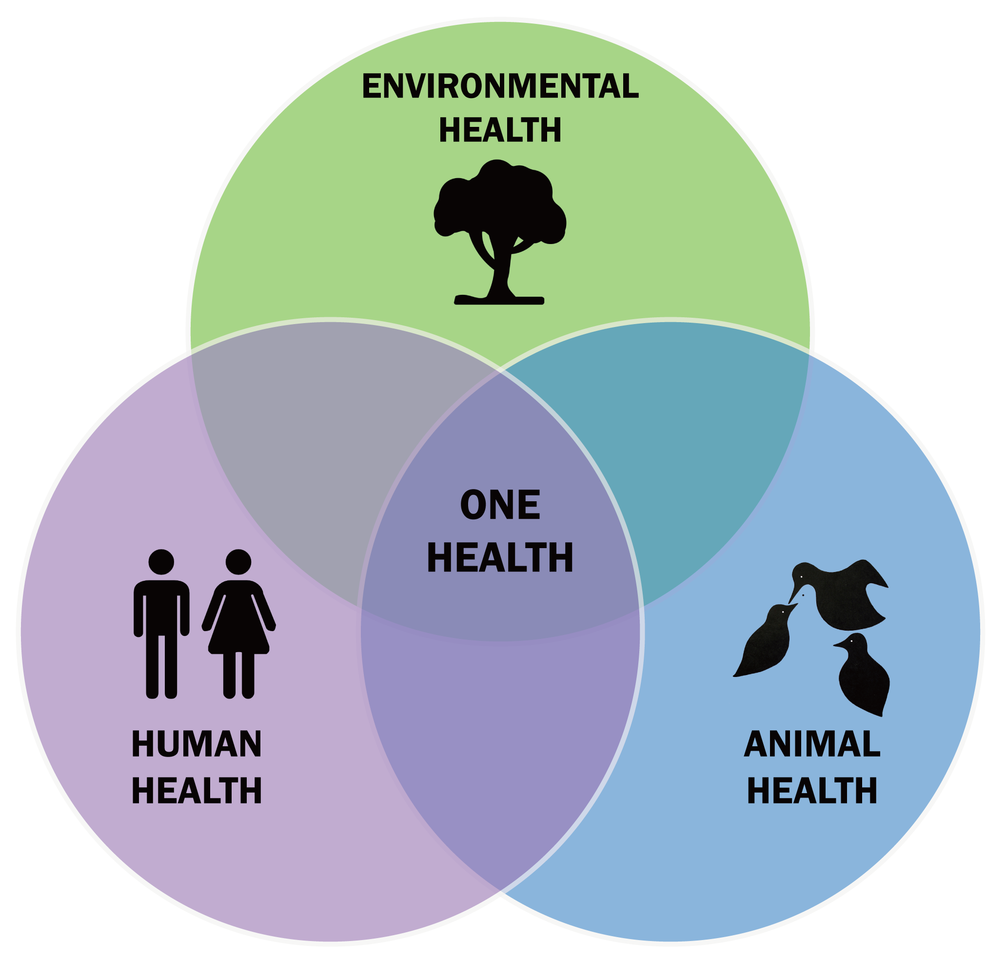 one world one health concept