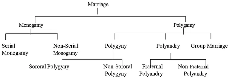 POLYGAMY -UPSC Current Affairs - IAS GYAN