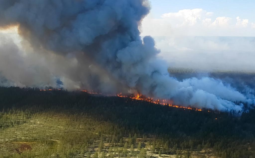 Siberia wildfires prompt state of emergency declaration. UPSC