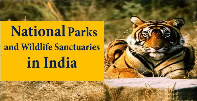 wildlife-sanctuaries-and-national-parks-in-india-upsc