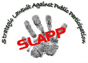 Analyzing SLAPP Suits: Impact on Public Participation and UPSC Relevance