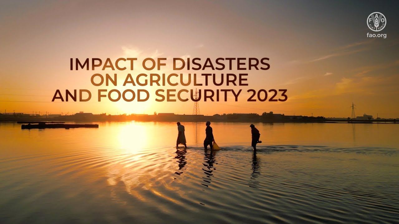 FAO Report Economic Losses By Natural Disasters UPSC