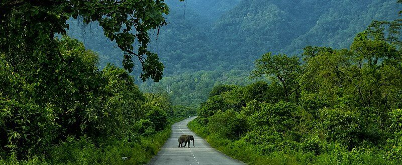 Tiger translocation to strengthen wildlife corridors. UPSC