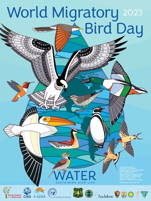 WORLD MIGRATORY BIRD DAY 2023 