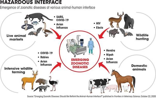 Zoonosis Theory | UPSC Current Affairs | IAS GYAN