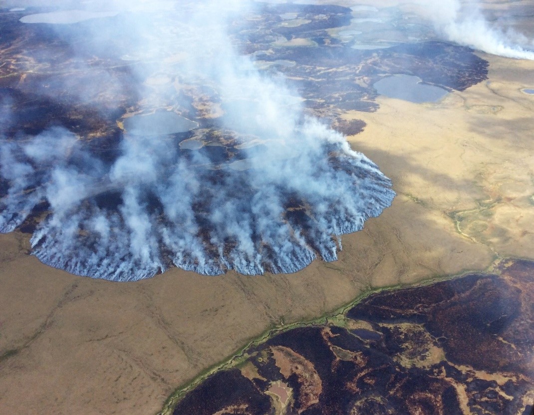 Instances of Zombie fires in the Arctic region.