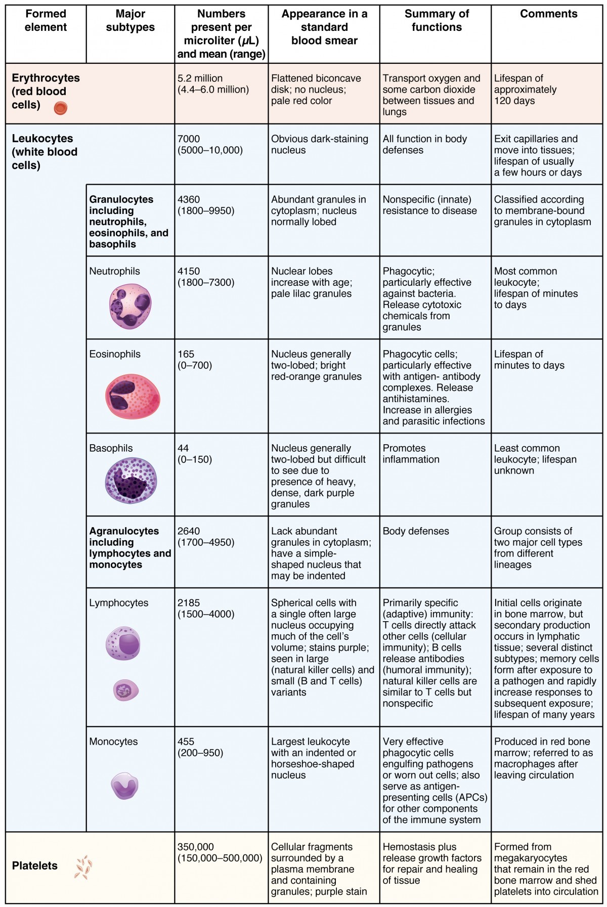 dengue-and-platelets