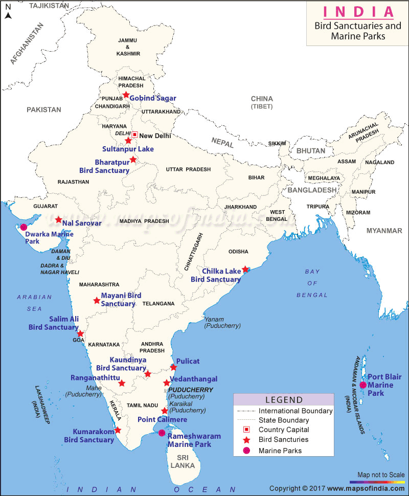 23-wildlife-sanctuaries-in-india-2022-list-of-wildlife-sanctuaries