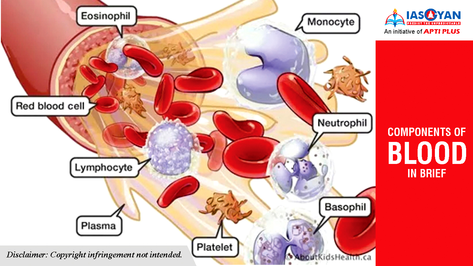 COMPONENTS OF BLOOD IN BRIEF UPSC - IAS Gyan