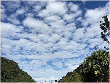 TYPES OF CLOUDS UPSC