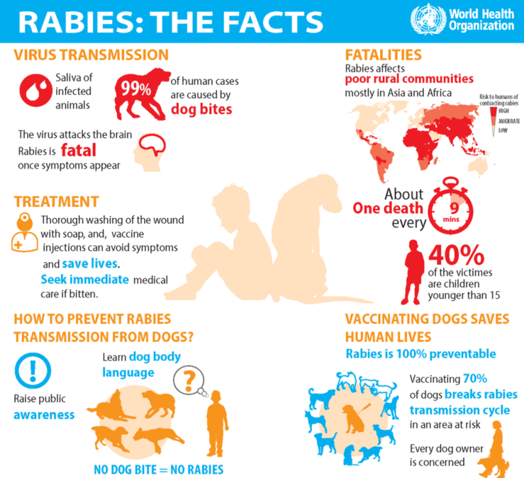 government-of-india-launched-national-rabies-control-program-nrcp-for