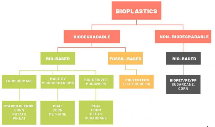 Biodegradable Plastics