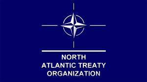 North Atlantic Treaty Organisation (NATO)