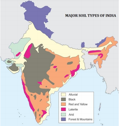 SOIL DEGRADATION | IAS GYAN