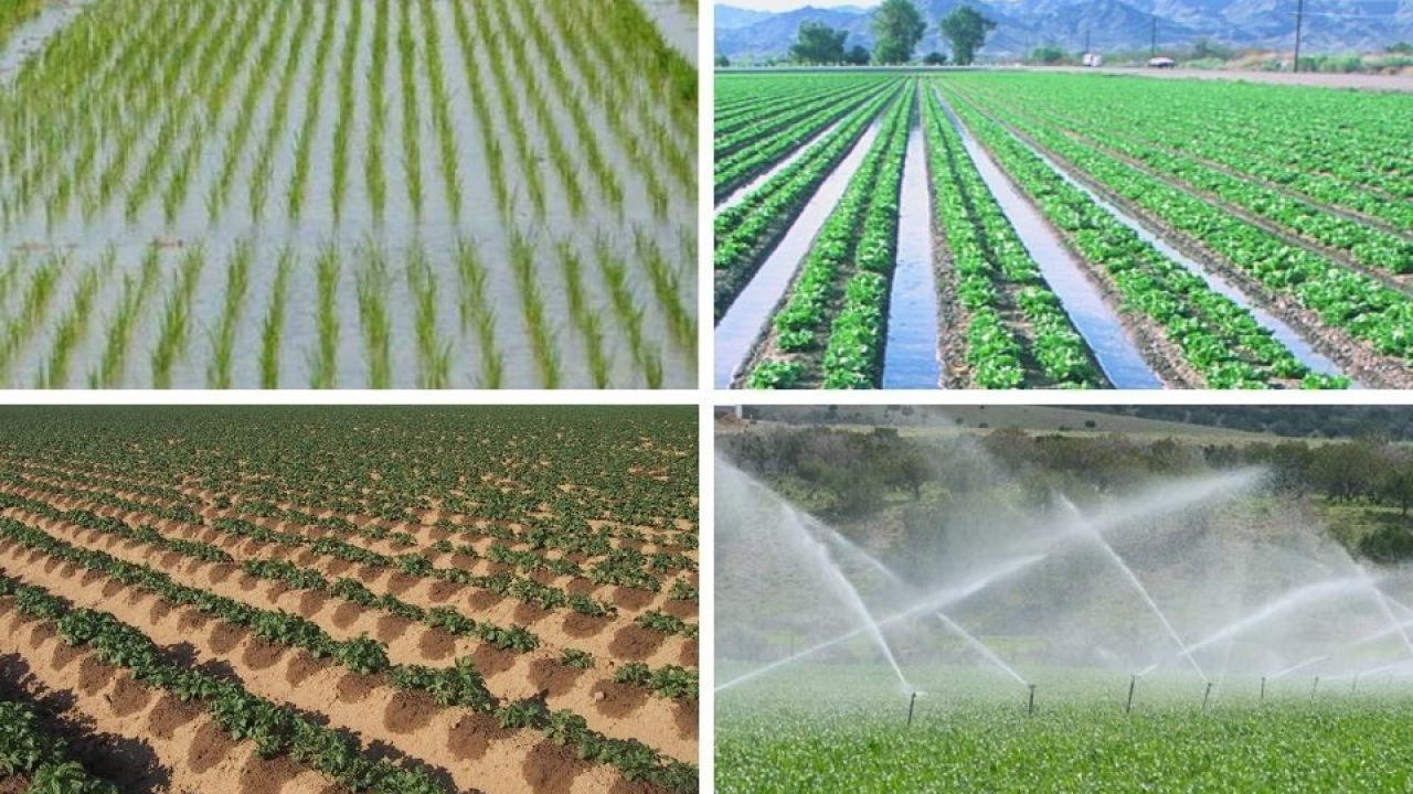 Irrigation Census