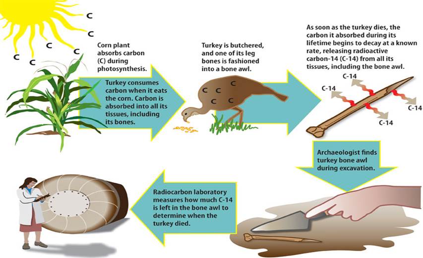 carbon-dating-ias-gyan