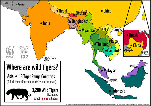 PRE-SUMMIT OF TIGER RANGE COUNTRIES | IAS GYAN