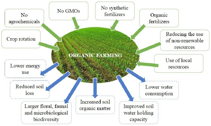 organic-farming