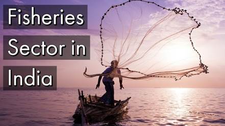 FISHERIES SECTOR IN INDIA | IAS GYAN