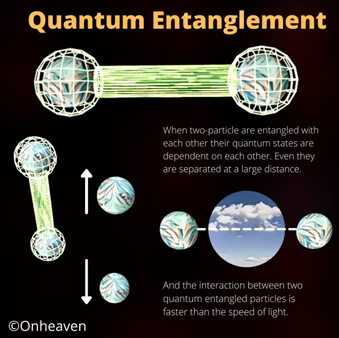 TARDIGRADES AND QUANTUM ENTANGLEMENT - IAS Gyan