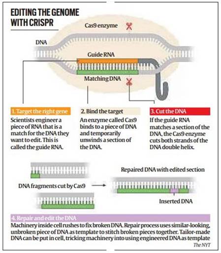 CRISPR | IAS GYAN