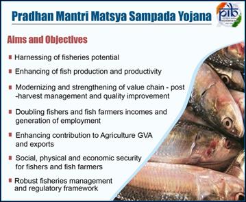 fishery business plan in india