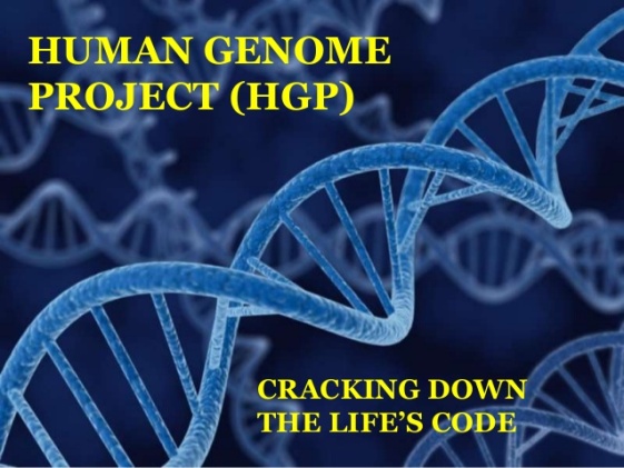 DNA Human Genome Project