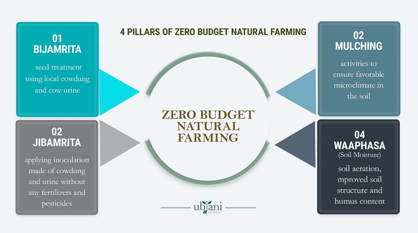 thesis on zero budget natural farming