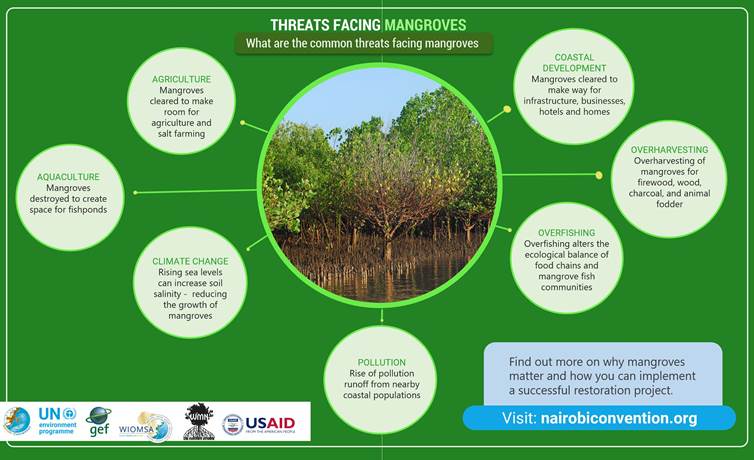 MANGROVES | IAS GYAN