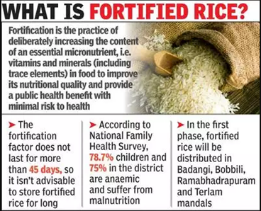 fortified rice essay in hindi