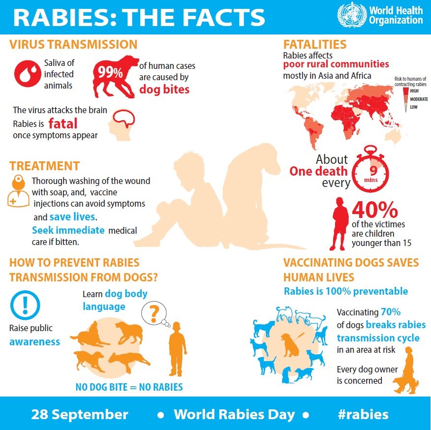 RABIES IAS GYAN   Image04815 